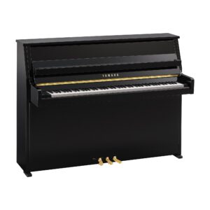 Yamaha B10 PE