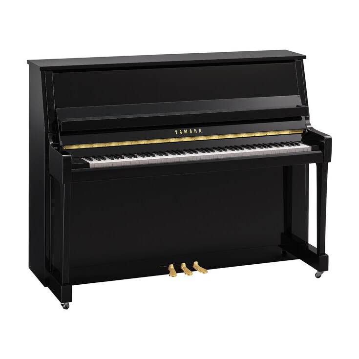 Yamaha B20 PE