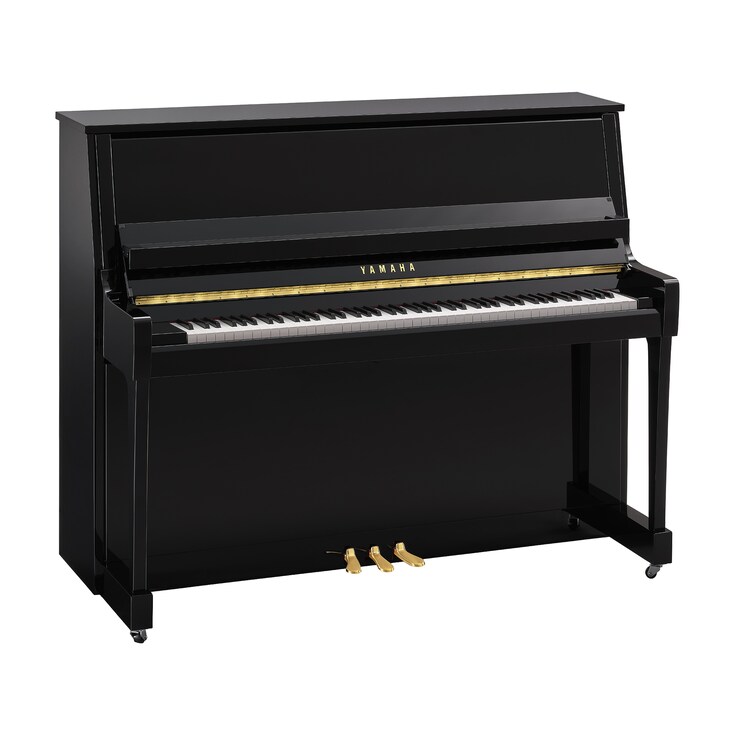 Yamaha B30 PE